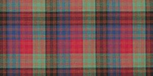 Children School Uniform Printed Fabric