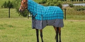 Weight Turnout Horse Rugs