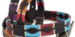 Polo Dog Collar