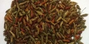 Birds Eye Chilli Oven Dried