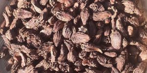 Black Cardamom Pods
