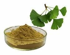 Ginkgo Biloba Extract 24/6