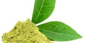 Green Tea Extract 50%