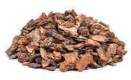 Pine Bark Extract