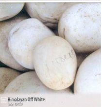 White Pebble