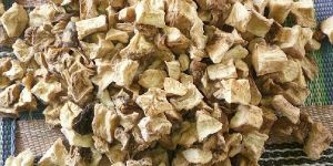 Dried Chicory Cubes