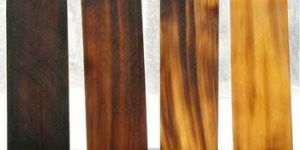 Bull Horn Plates for Opticals Frame