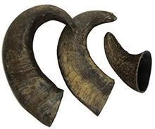 Natural Water Buffalo Bully Horn