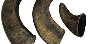 Natural Water Buffalo Bully Horns