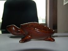 Wooden Turtle