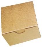 Packing Corrugated Carton Box