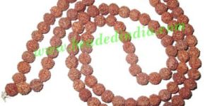 Rudraksha Beads String