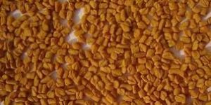 Dried Fenugreek Seeds
