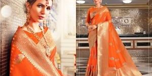 Virasat Sangam Sarees