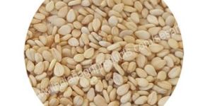 Sesame Seed