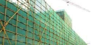 Scaffolding Safety Net