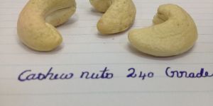 Crispy Cashew 240 Grade