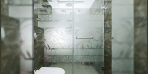Shower Partition Glass