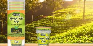 Gruner Green Tea Cup 10 Pcs Mint Flavor