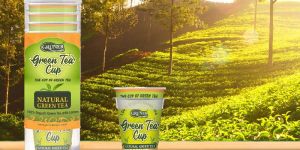 Gruner Green Tea Cup 10 Pcs Natural Flavor