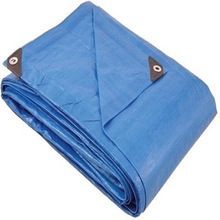 Waterproof and Durable PE Eye Let Tarpaulin
