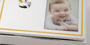 Silverplated lacquer rect. shape duck frame box