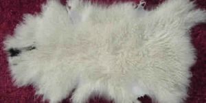 Lamb Skin