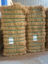 Coir Fibre