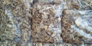 Dry Oyster Mushroom