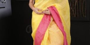 Slab Linen Saree