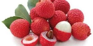 Litchi Plant