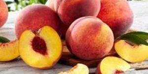 Nectrine Peach