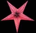 Printed Paper Stars