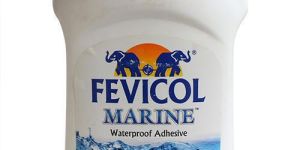Fevicol Adhesive
