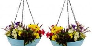 Wonderland Set of 2 Hanging Planter