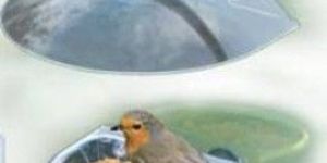 Wonderland Window Bird Feeder