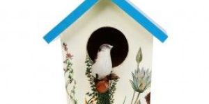 Wooden 7.6 Inches Height Bird House With Blue Roof