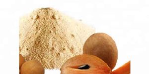 Sapodilla Powder