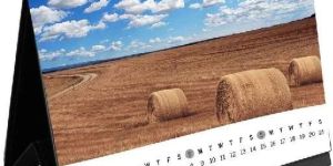 Desk Calendar