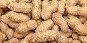 Natural Groundnuts
