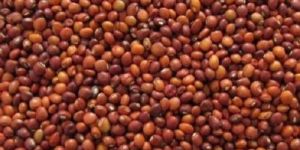 Natural Toor Seeds