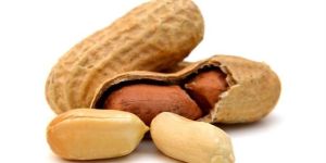 Organic Groundnuts