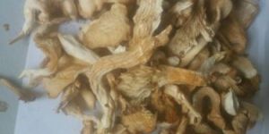 Dry Oyester Mushroom