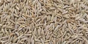 Indian Cumin Seeds