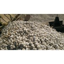 Round Tumbled River Pebble