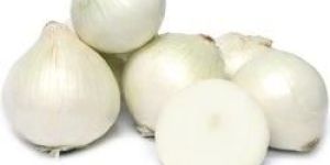 Fresh White Onion