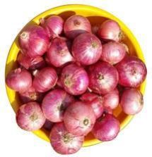 Organic Red Onion