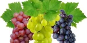 Fresh Natural Grapes
