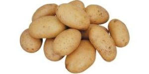 Fresh Natural Potato