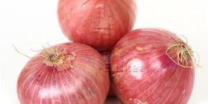 Fresh Pink Onion